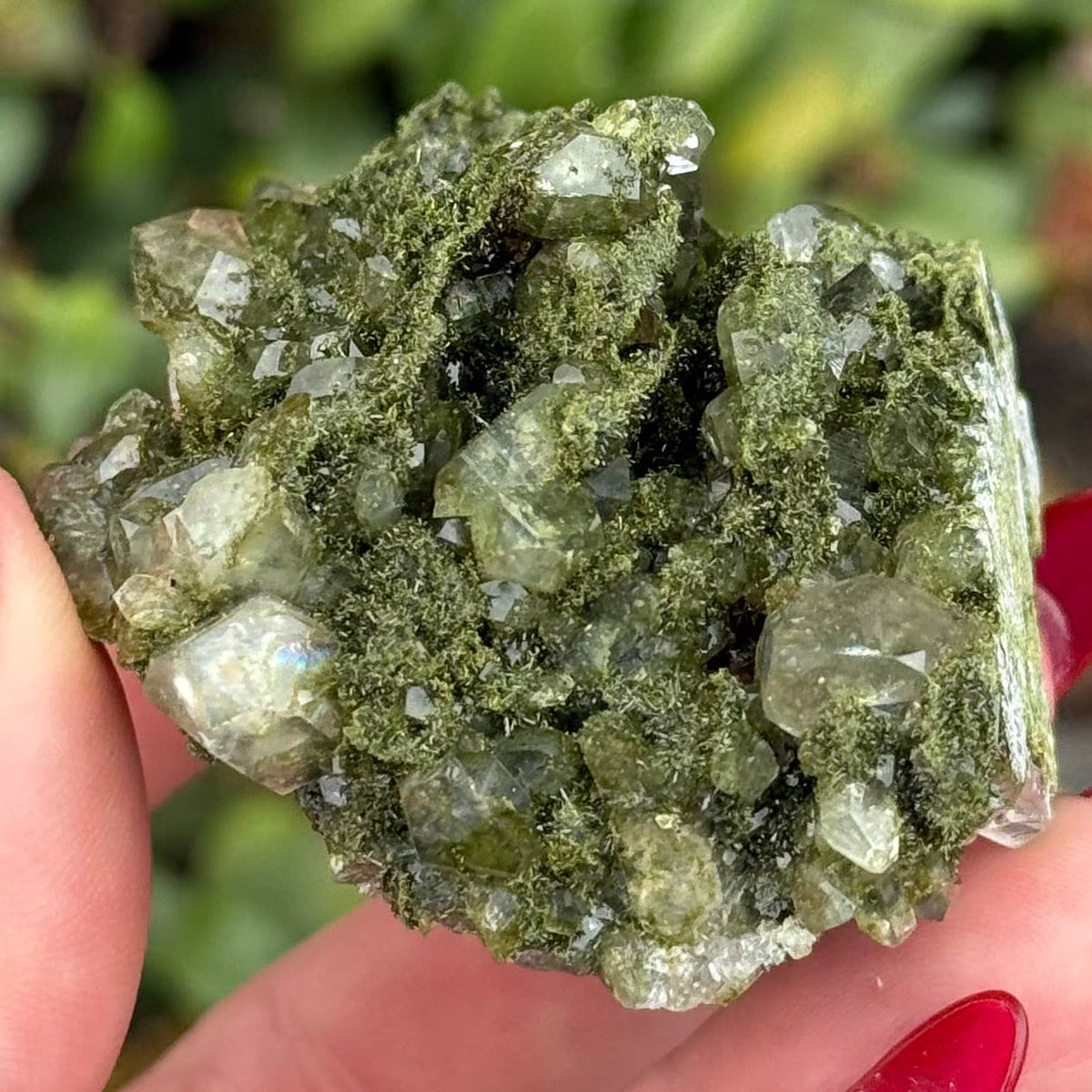 Epidote in Quartz from Turkey - Sold Individually