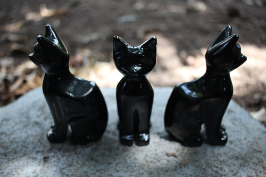 Obsidian Black Cat