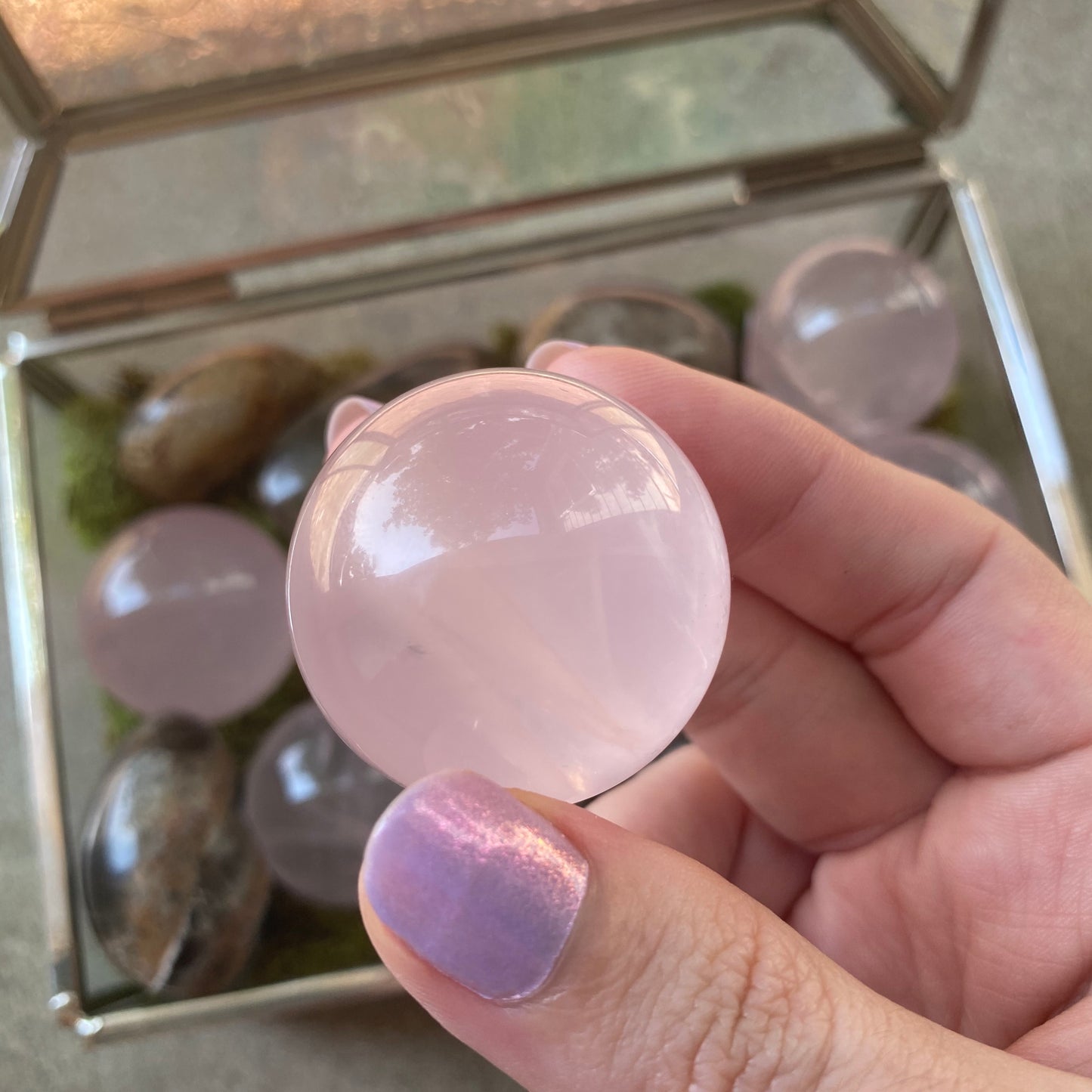 Star Rose Quartz
