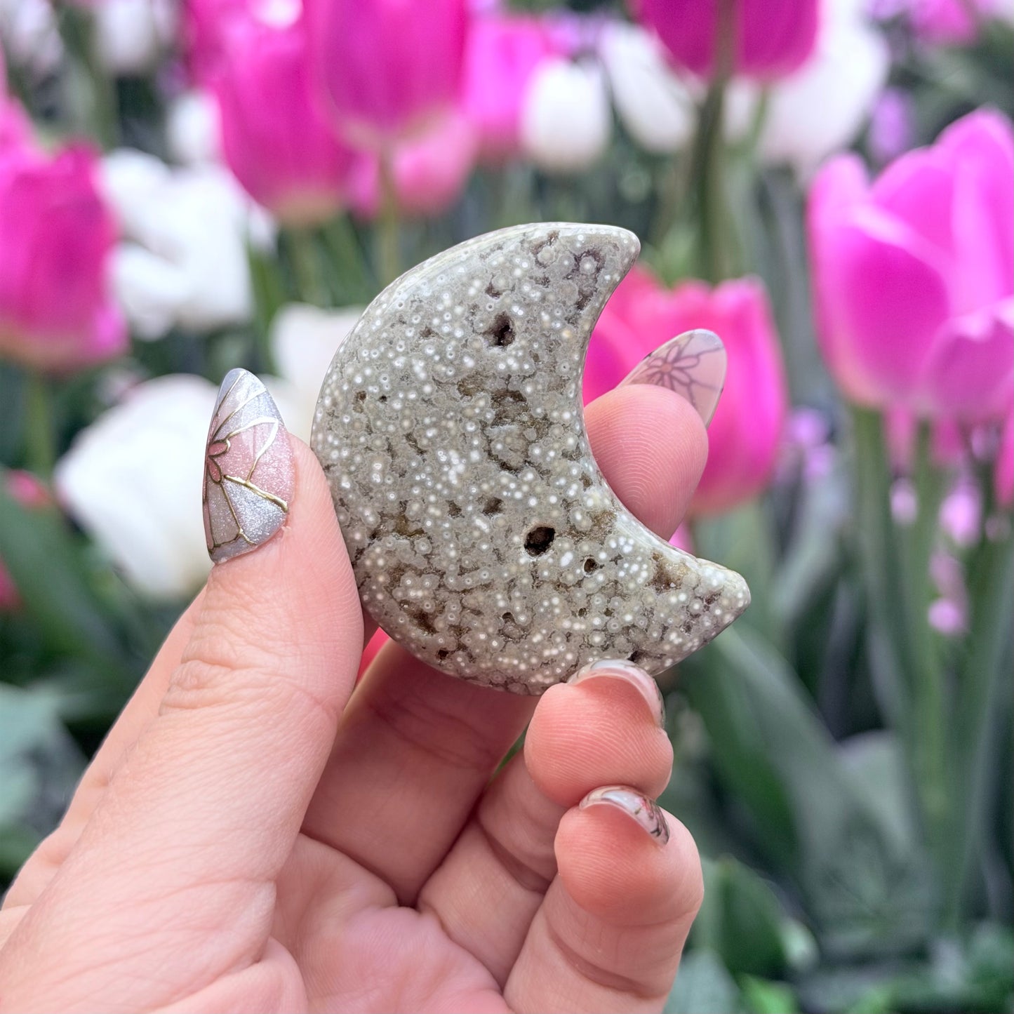 Ocean Jasper Moon