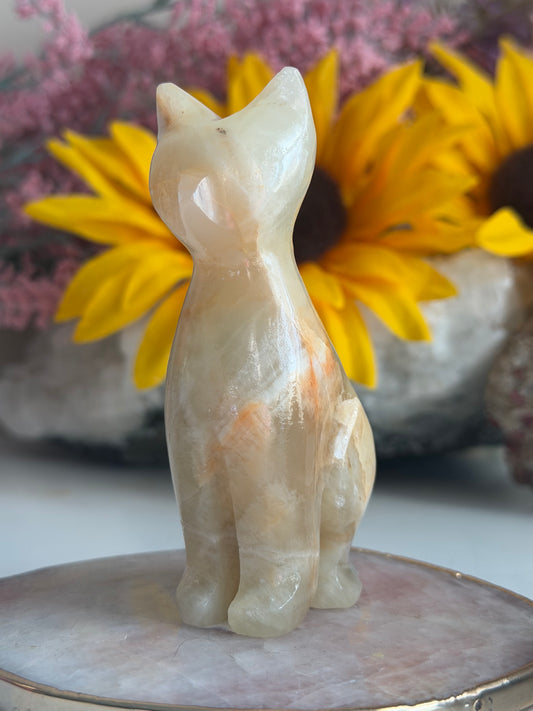 Green Onyx Cat
