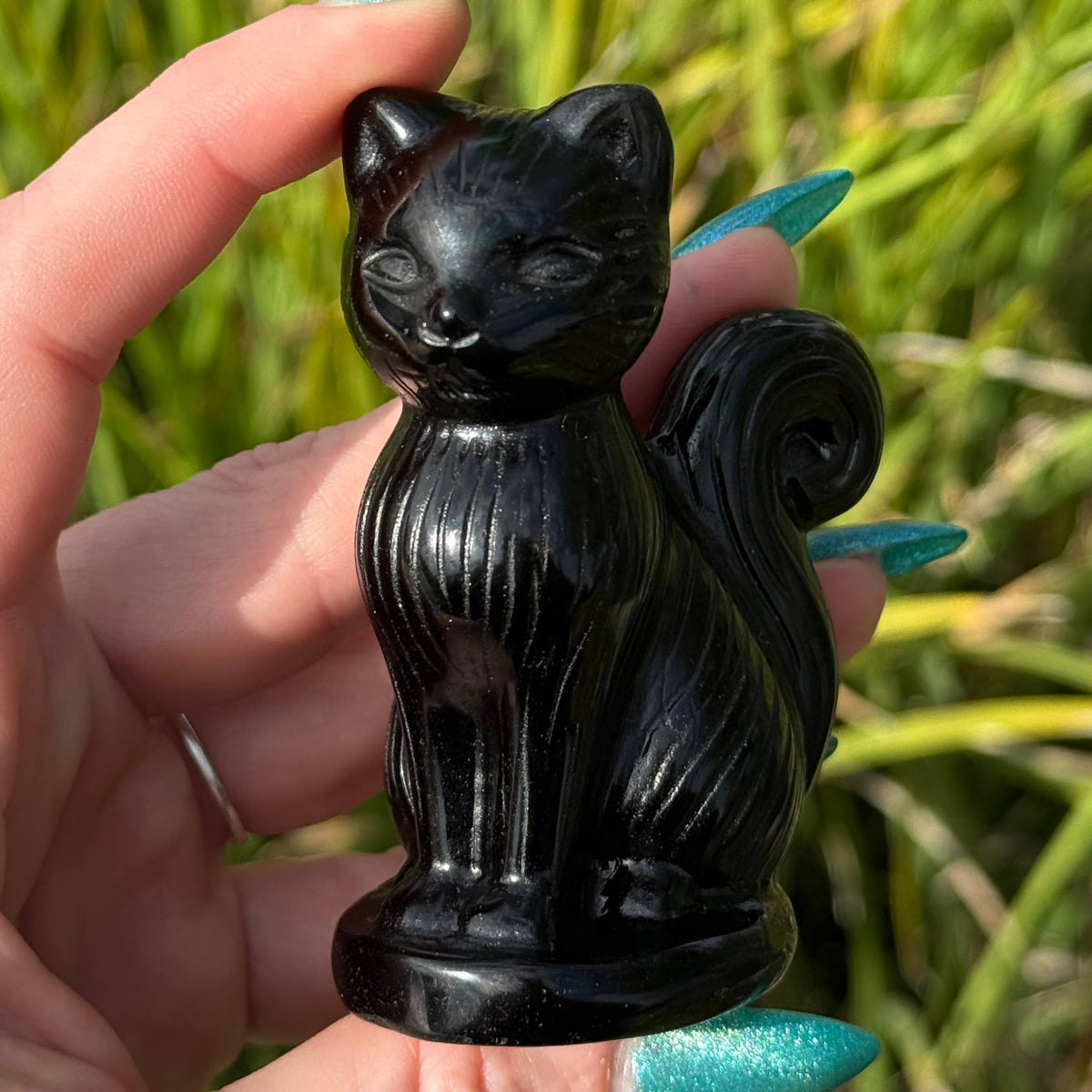 Large Obsidian Cat with Curly Tail