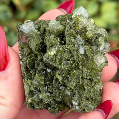 Epidote in Quartz from Turkey - Sold Individually