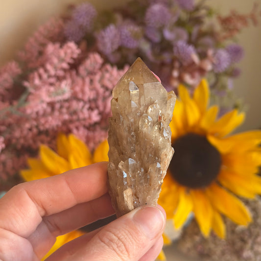 Natural Pineapple Citrine