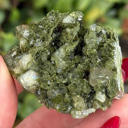 Epidote in Quartz from Turkey - Sold Individually