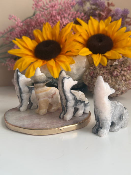 Zebra Calcite Wolves