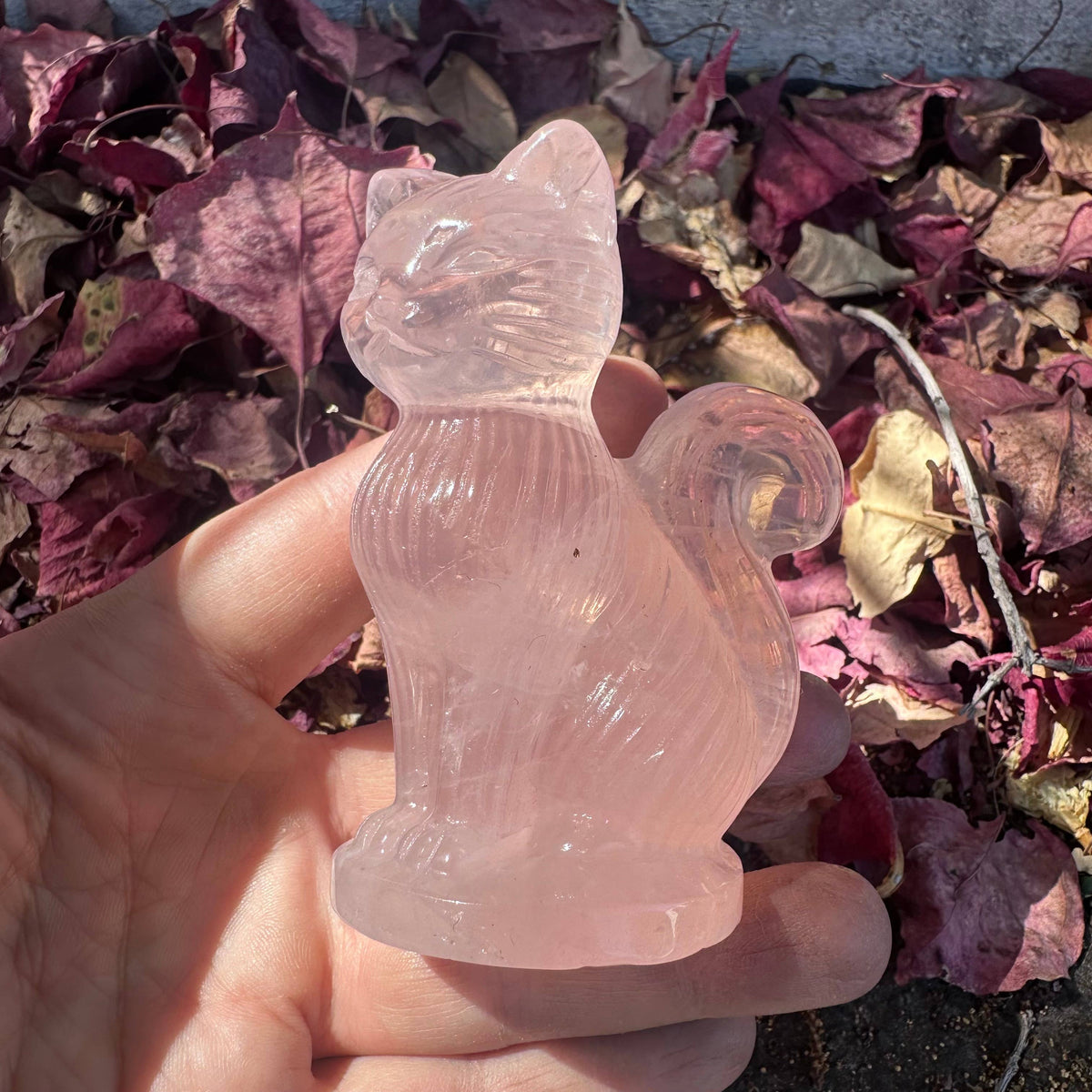 Large Rose Quartz Cat with Curly Tail - Sold Individually