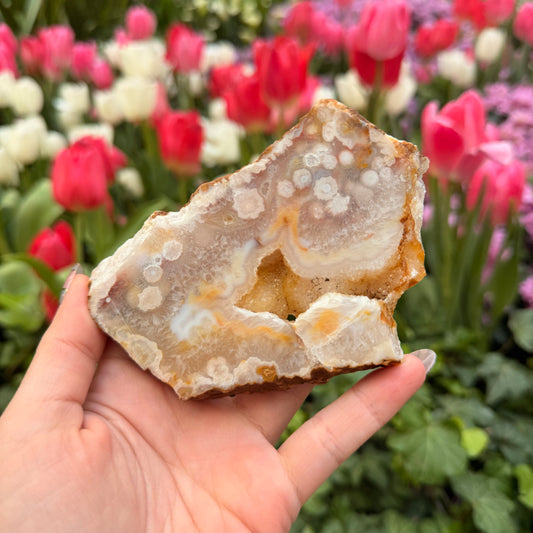 Flower Agate Slice