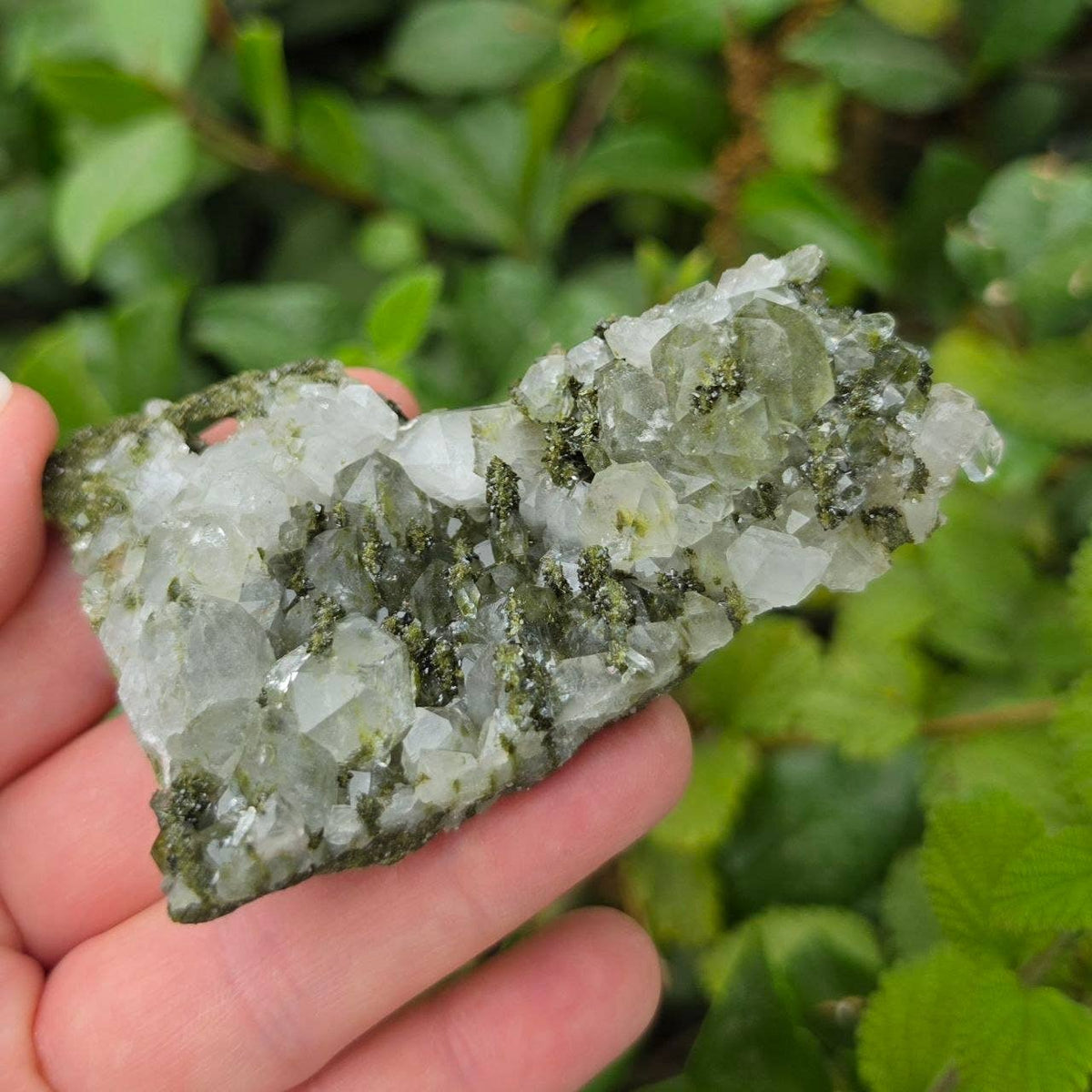 Epidote in Quartz from Turkey - Sold Individually