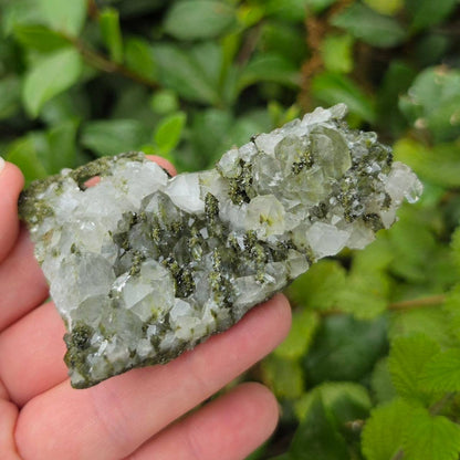 Epidote in Quartz from Turkey - Sold Individually