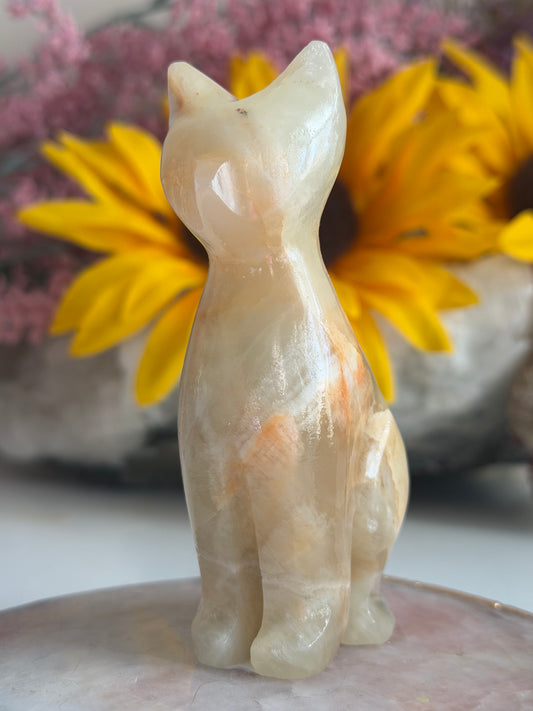 Green Onyx Cat