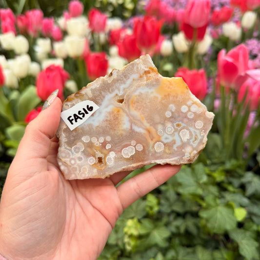 Flower Agate Slice