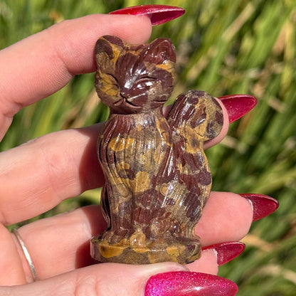Calico Jasper Sitting Cat