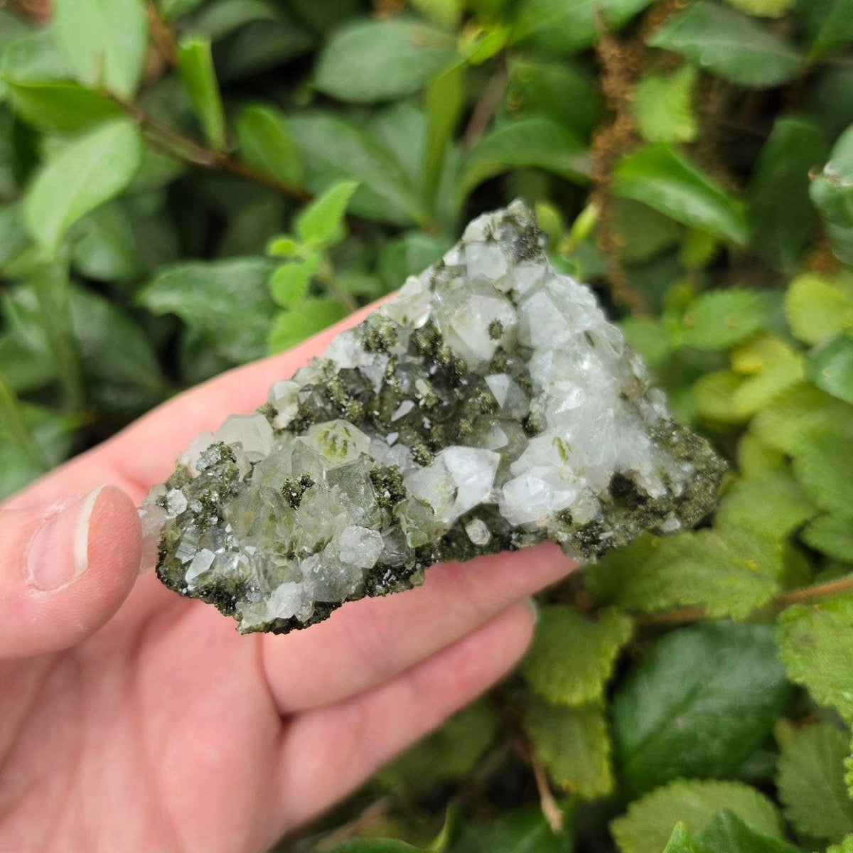 Epidote in Quartz from Turkey - Sold Individually