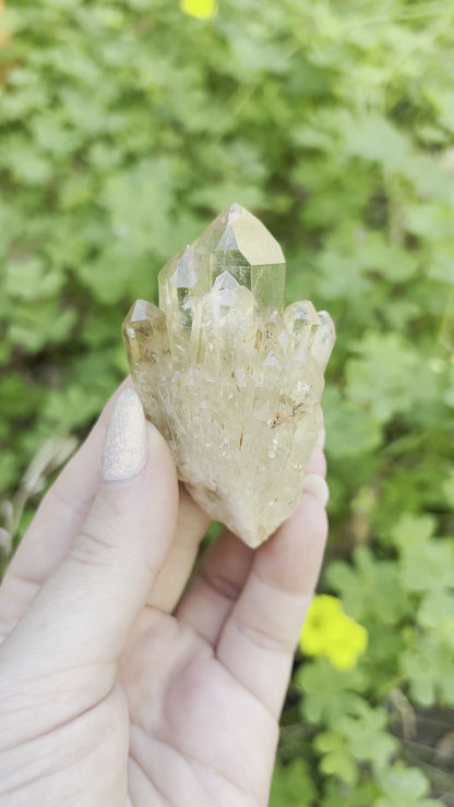 Natural Pineapple Citrine