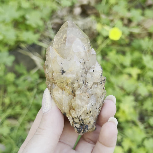 Natural Pineapple Citrine