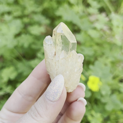 Natural Pineapple Citrine
