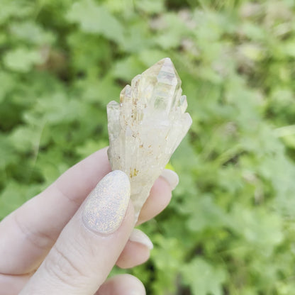 Pineapple Citrine
