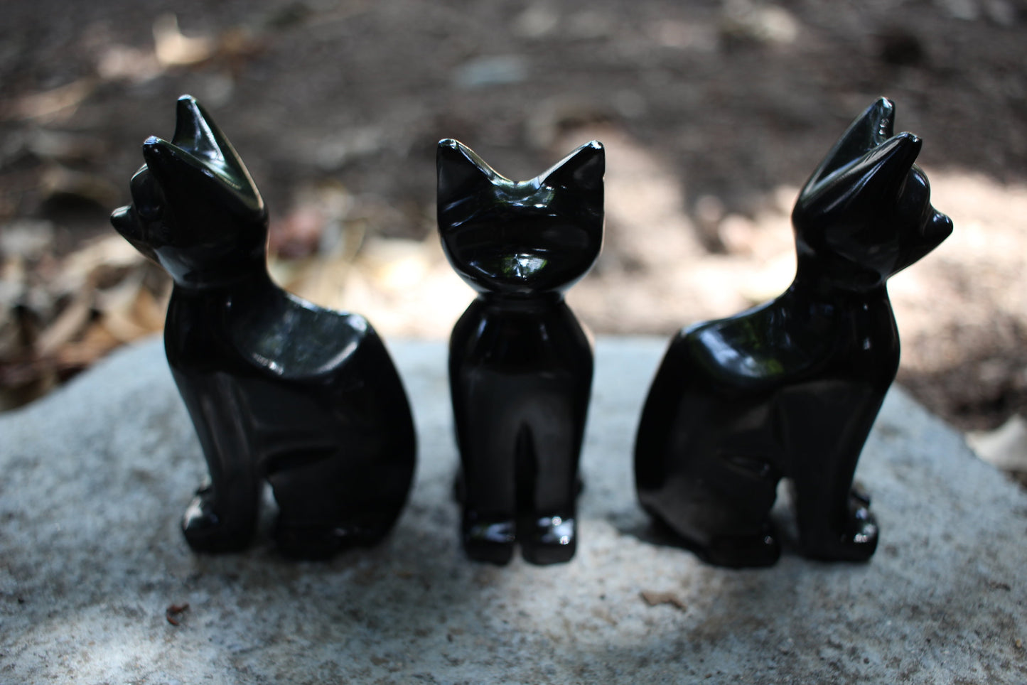 Obsidian Black Cat