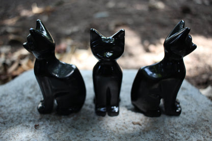 Obsidian Black Cat