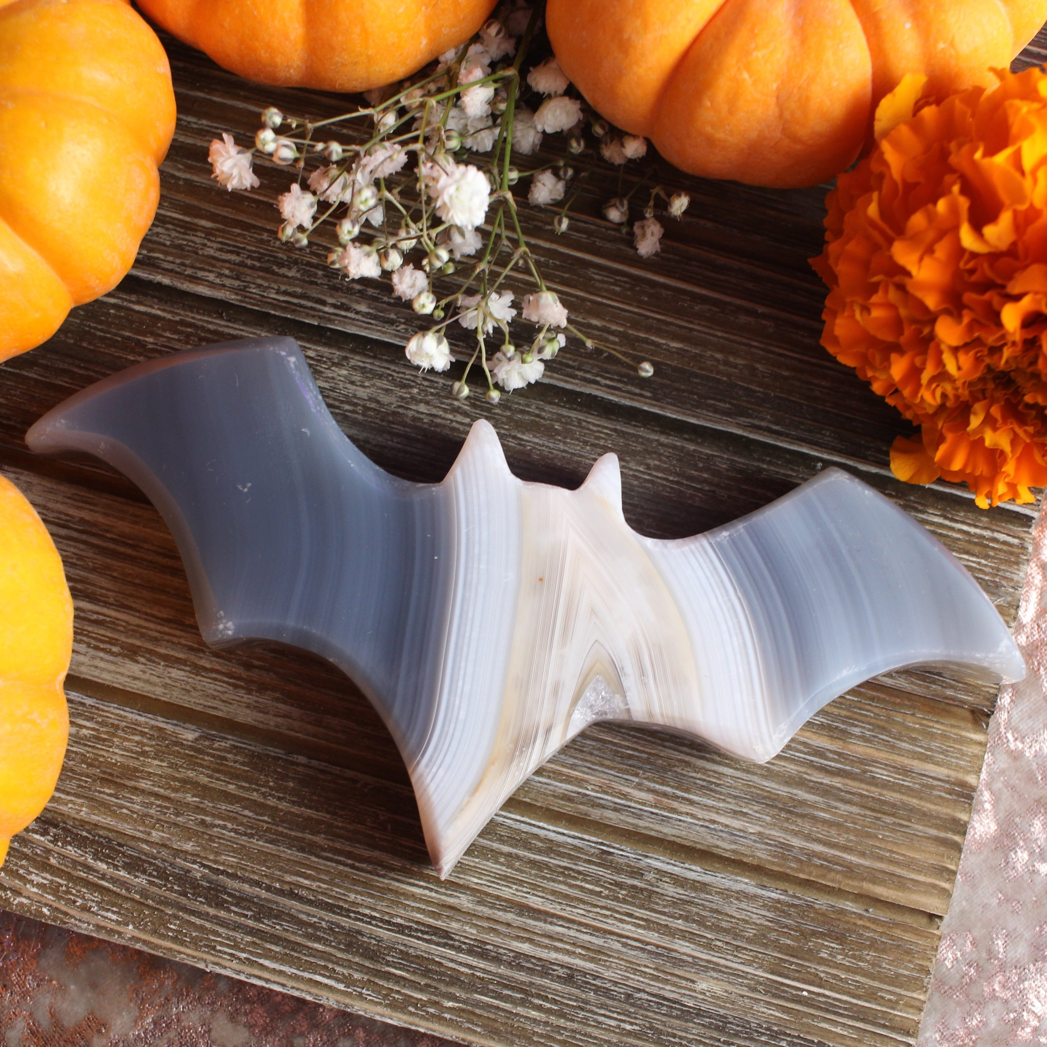 Agate Bat