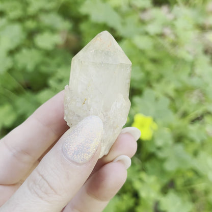 Natural Pineapple Citrine