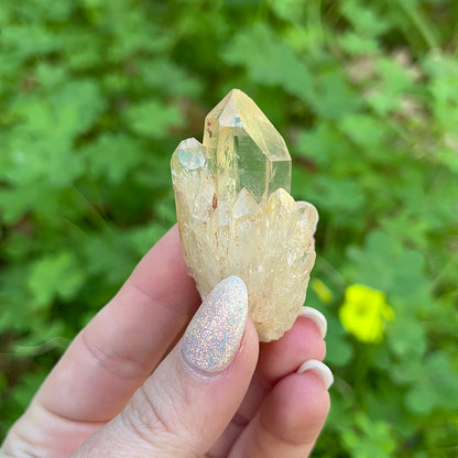 Natural Pineapple Citrine