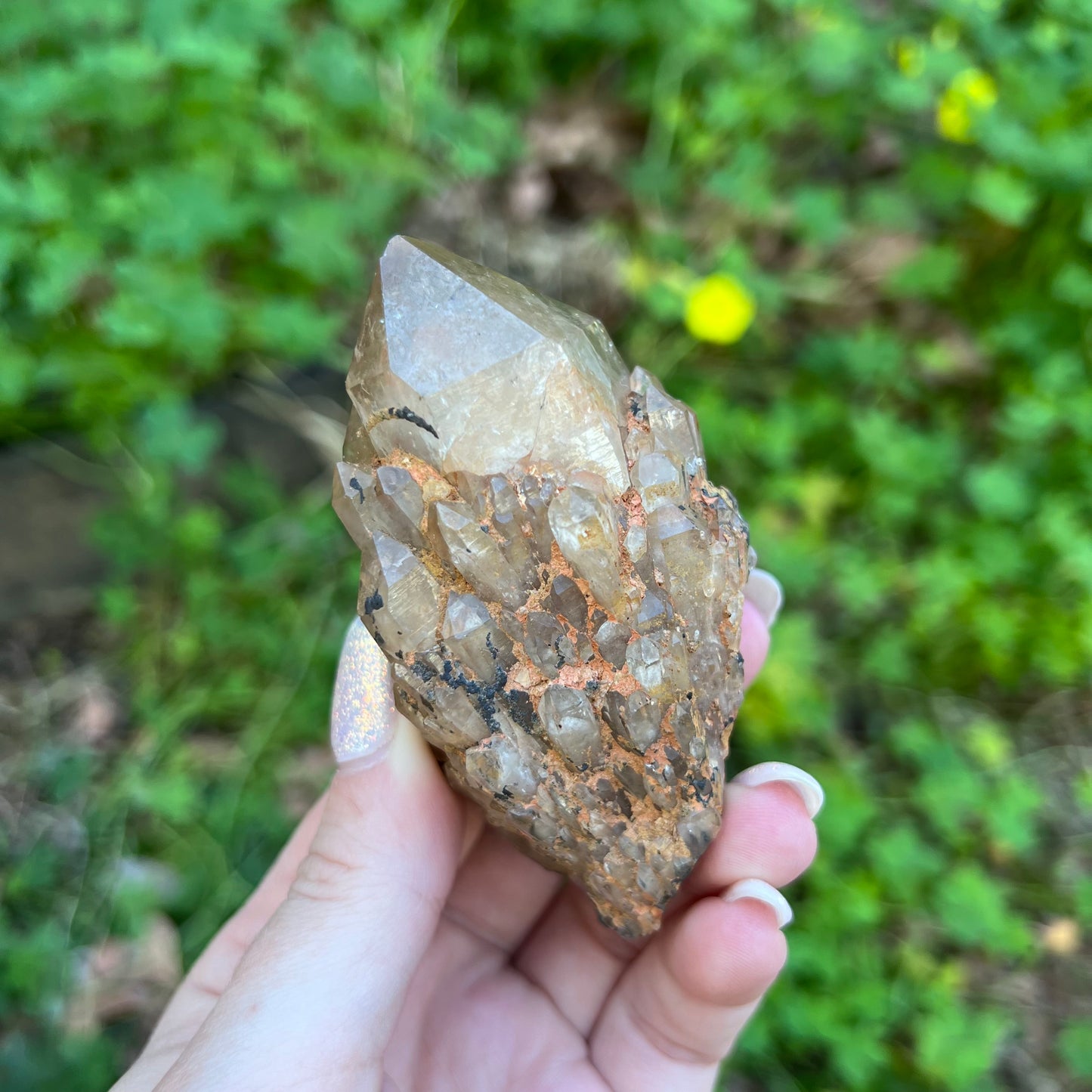 Natural Pineapple Citrine