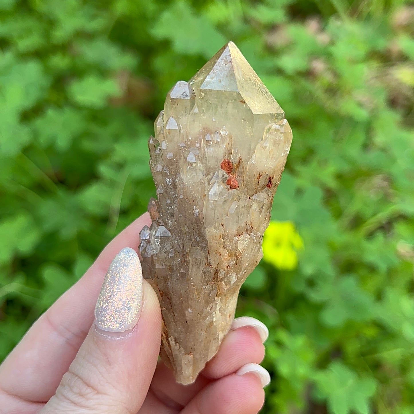 Natural Pineapple Citrine