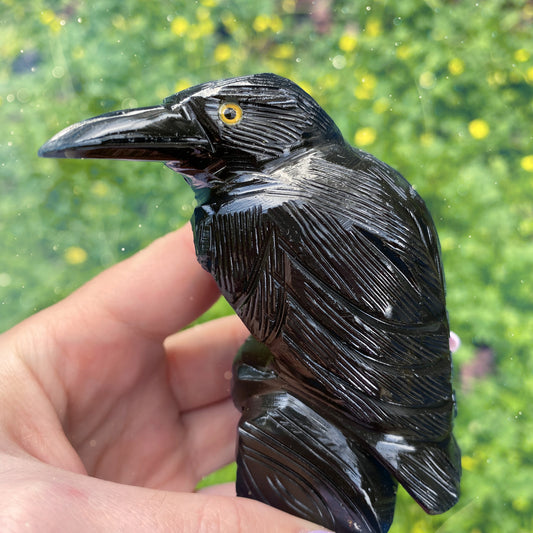 Large Onyx Raven
