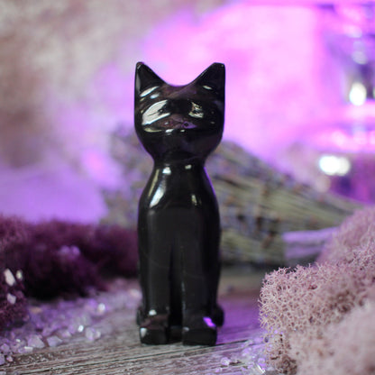 Obsidian Black Cat
